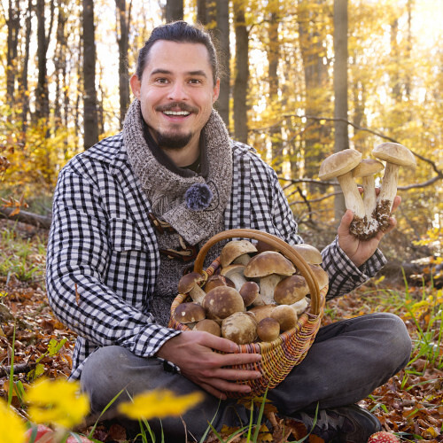 2. Kino-Premiere: "Die vier Jahreszeiten" Pilzvergnügt (Zusatzpremiere)